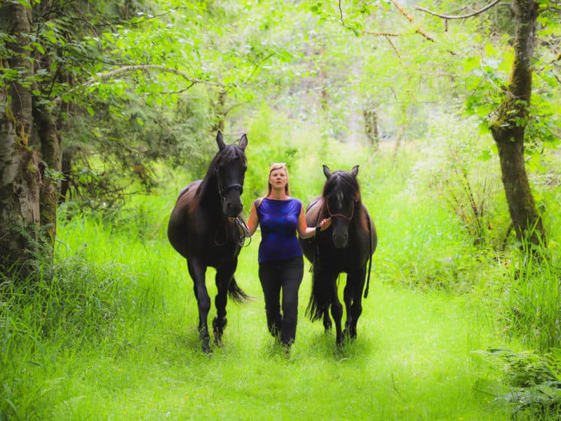 Artist Marian van der Zon, a white woman with blonde hair wearing a blue shirt and black riding pants, leads two bay coloured horses through a richly green forest. They are headed towards the camera.