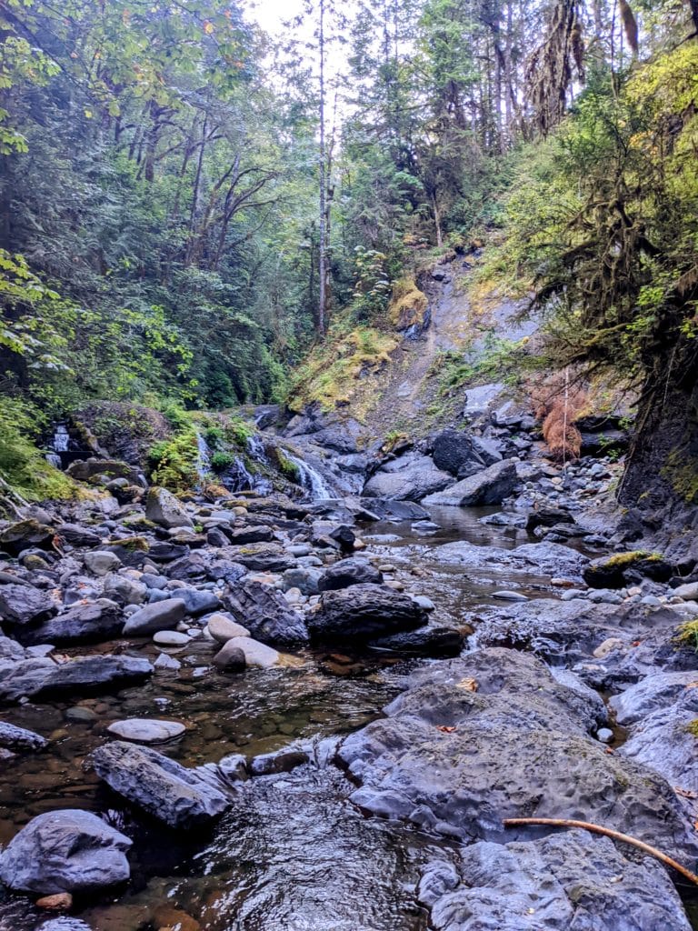Photo taken from creek-level, and the creek is seen winding through rocks and surrounded by trees.