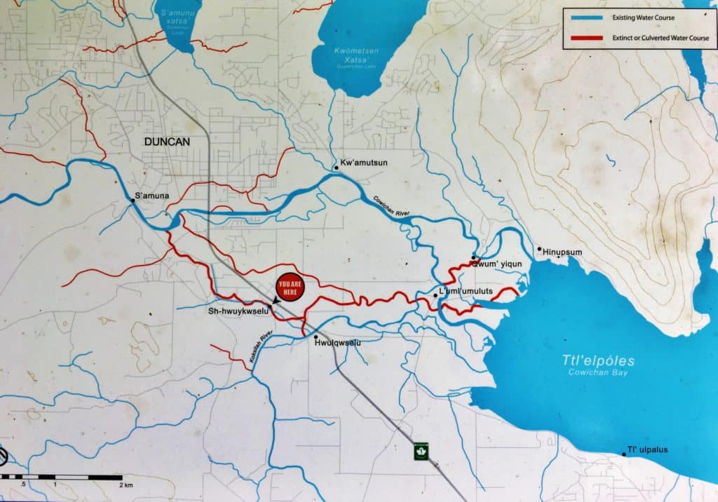 A map of the Cowichan Valley, with the river system in blue and the old creeks that existed in red.
