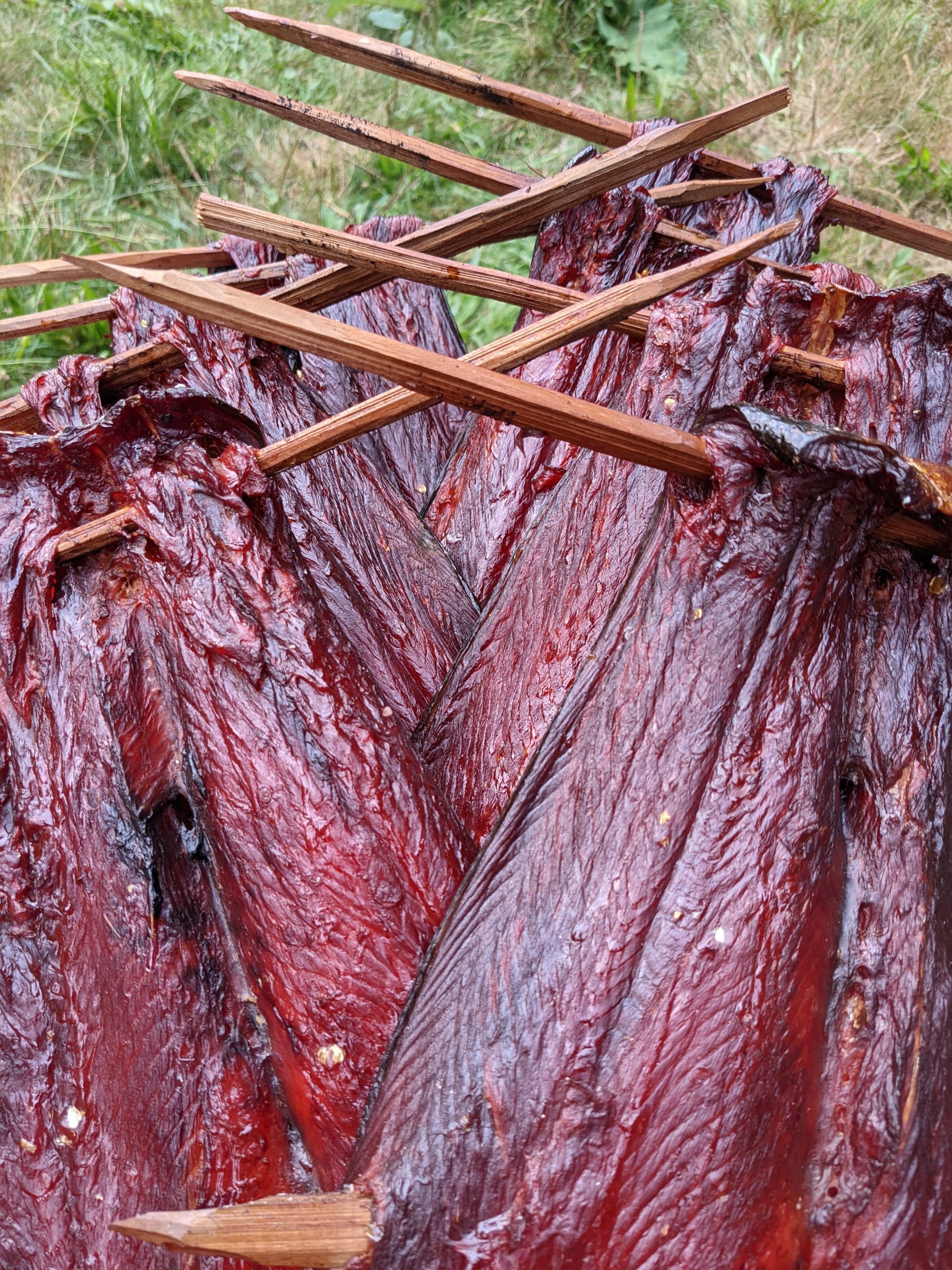 Eight smoked salmon, pierced in the top with wooden spears to hang them with. The salmon alternate in position from right to left forming two rows with the spears interlocking.