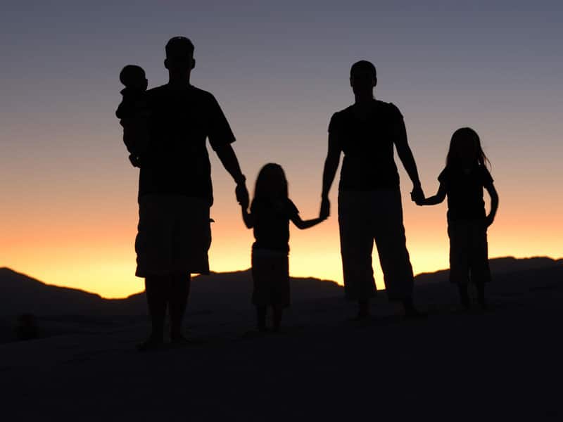 The silhouette of a parent, child, parent and another child standing in a line and holding hands with their backs to the camera, facing a sunset.