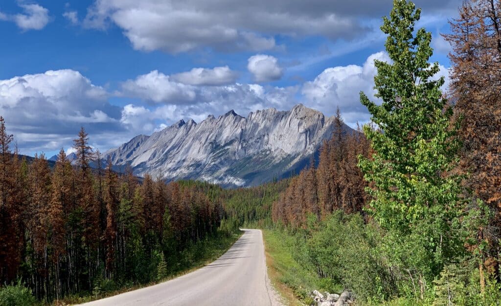 A road travels toward a large peak with forest on either side and clouds in a blue sky.