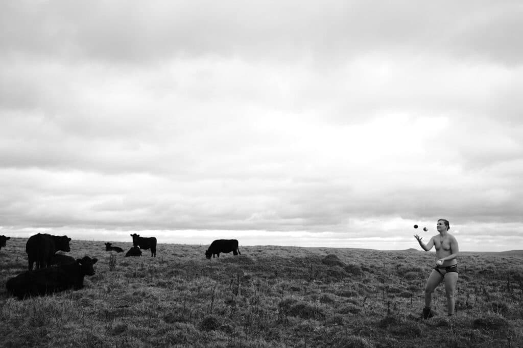 A person juggles in a large open field with cattle, Sheffield, United Kingdom.