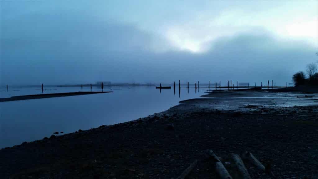 A moody view of a shoreline with wooden piers rising out of the water