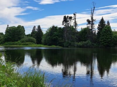 The kwula’xw village site borders what is now called Nanaimo River and sits in the 41 hectares of land returned to Snuneymuxw First Nation.