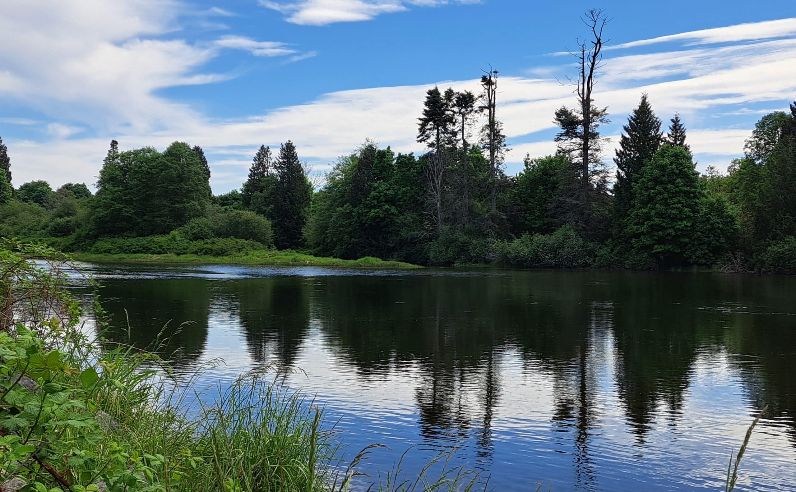 The kwula’xw village site borders what is now called Nanaimo River and sits in the 41 hectares of land returned to Snuneymuxw First Nation.
