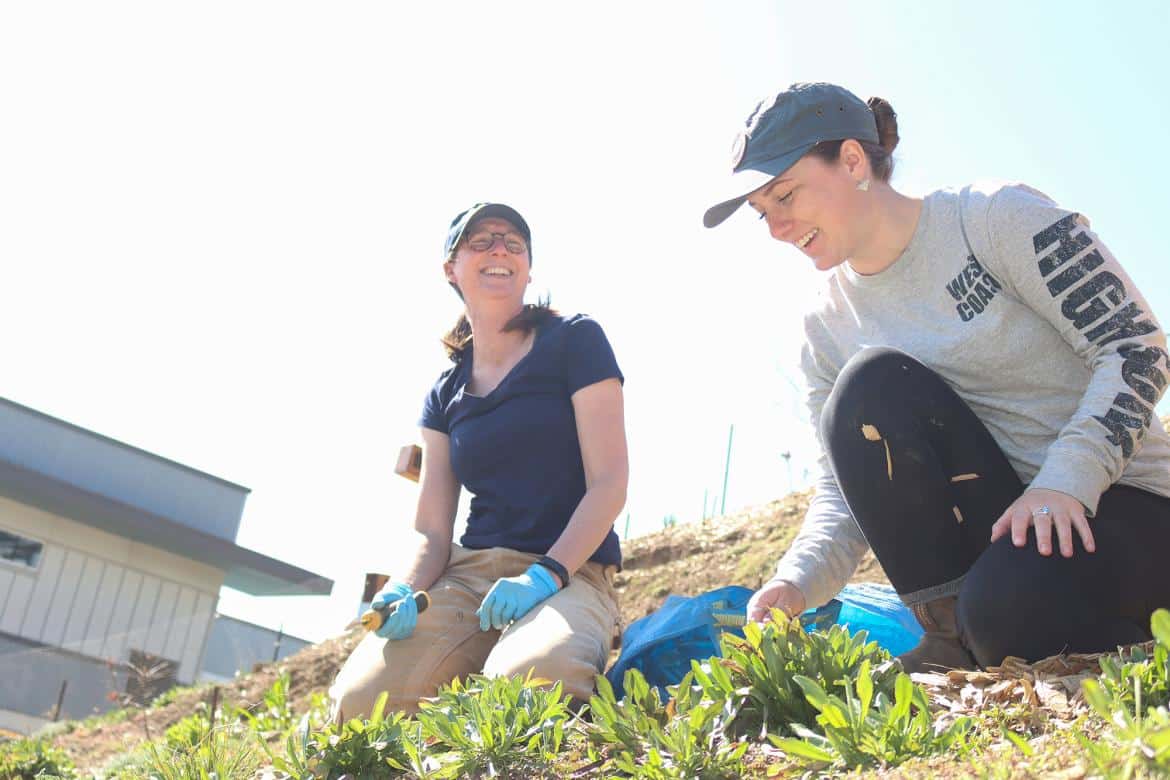 Professor Caroline Josefsson, left, and VIU student Megan Kollman replant seedlings into the p'hwulhp ecosystem restoration plot at the Nanaimo campus.