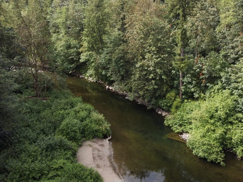 A photo of the Xwulqw'selu Sta'lo' (Koksilah River) taken by drone, slightly above the river. The river is flanked on both sides by lush forest and a small beach is pictured in the bottom left of the photo.