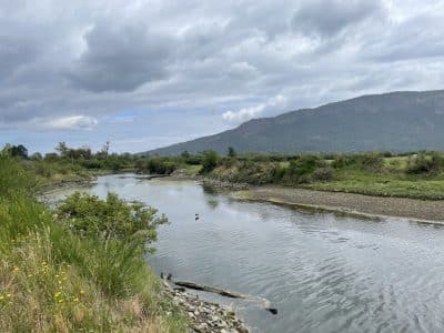 Dikes along the Cowichan estuary are seen in this photo.