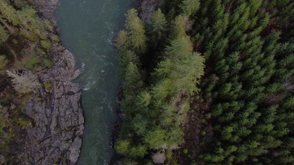 A rocky river bed on the left is flanked by treetops on the right