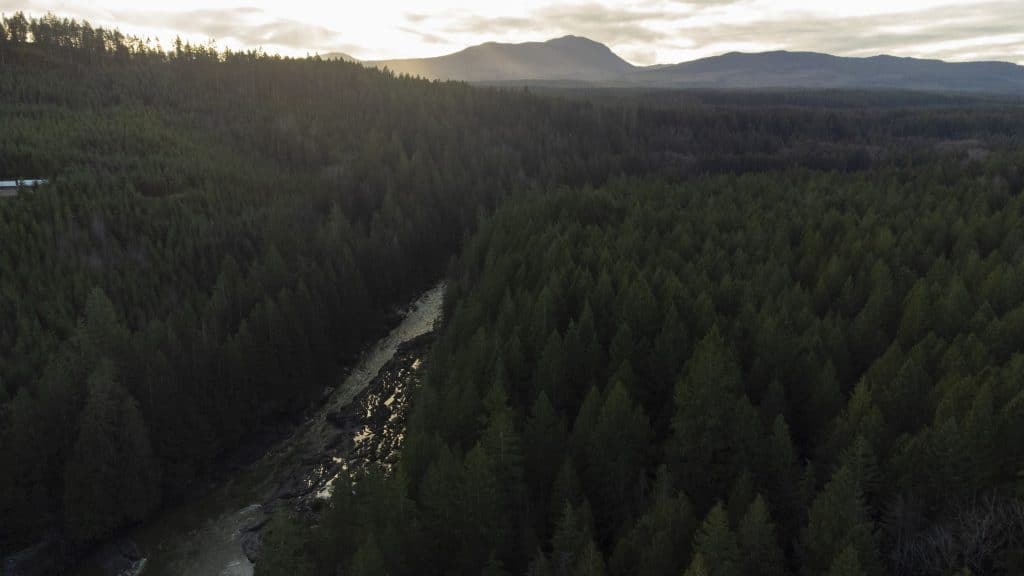 Distant forested mountains and clouds above a river that cuts through a forest
