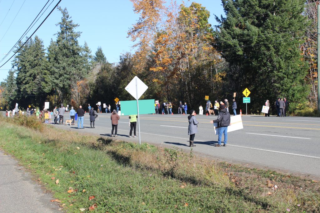 Activists holding signs along the side of a highway 