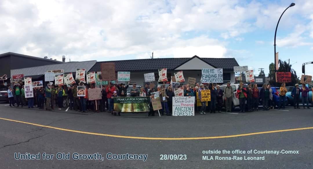 Protesters holding signs about protecting old-growth trees line up outside of the MLA's office in downtown Courtenay