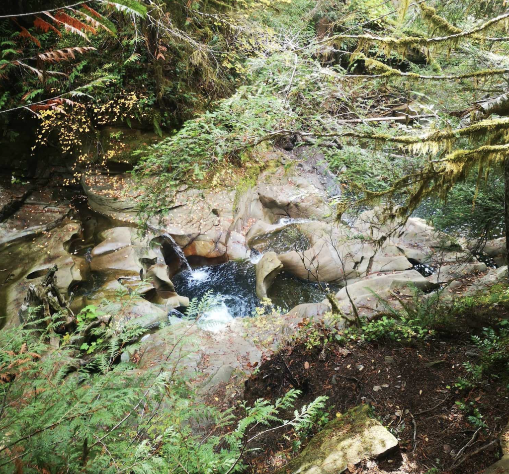 A pool of blue-green water within rocks in the forest