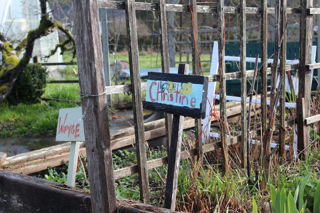 Two side-by-side raised garden beds with painted signs on stakes sticking out of them that say people's names. These signs say "Wayne" and "Christine"
