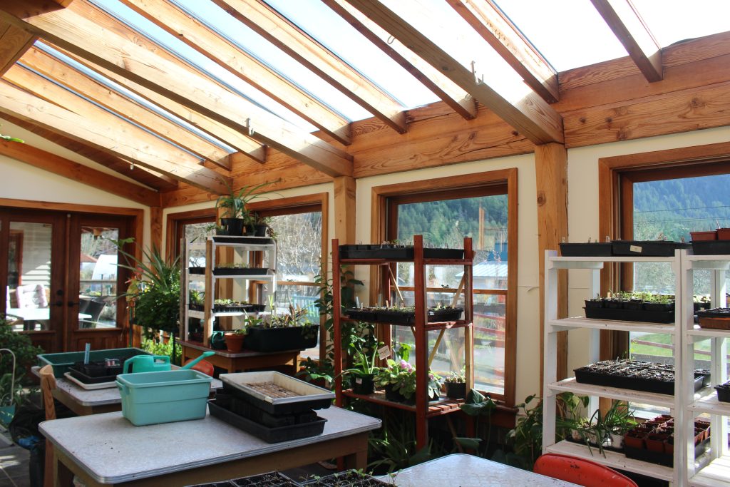 A solarium with large windows and a timber frame. Shelves of plants line the walls and tables with soil are in the centre.