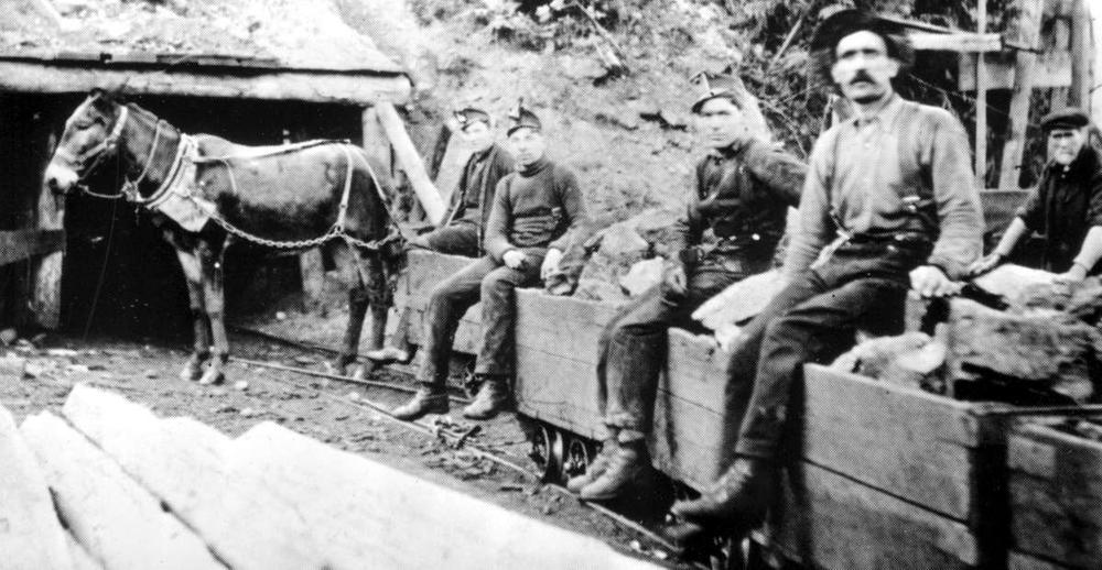 black and white photos of miners in coal cars and a mule in the back