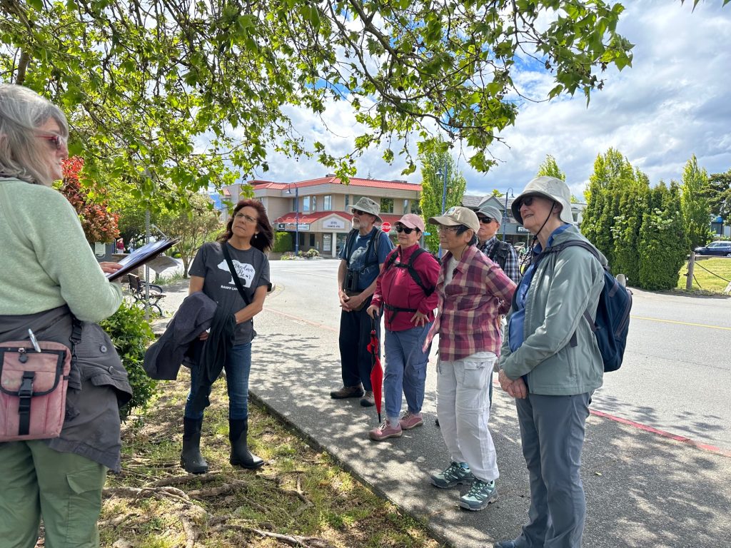 A group of people stand on a street looking at a tree.