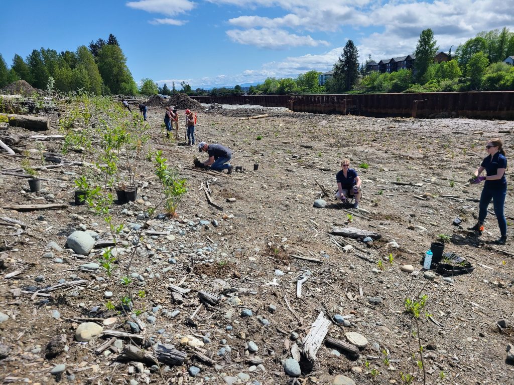 A line up of about eight people are planting something into the dirt alongside the river, which is only peeking out slightly in the background. The steel wall along the bank can be seen in the background, and little green trees are popping up in the foreground.