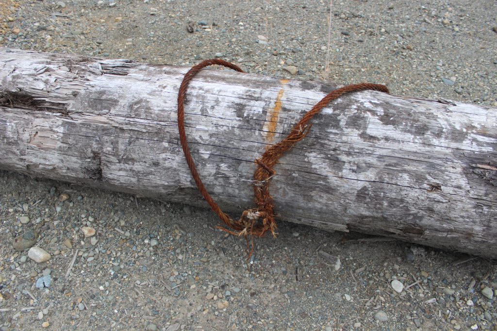 An old piece of wood with a rusty metal chord wrapped around it.
