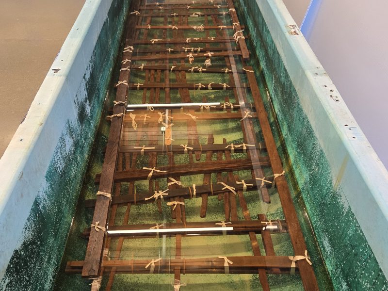 A long wooden panel that looks like a ladder lies in a tub filled with liquid. The panel is tied together with light-coloured twine.