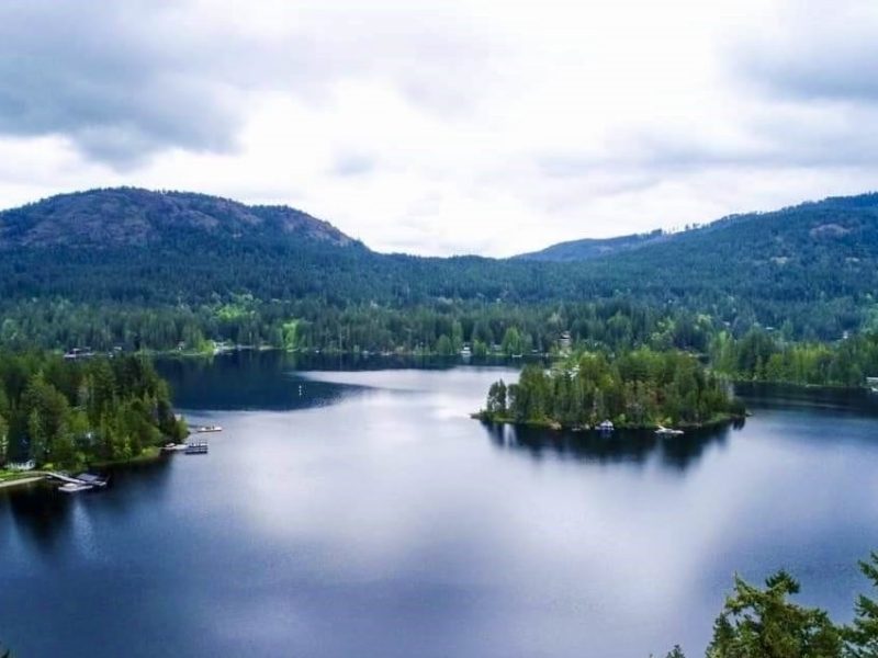 A wide vista of a blue lake surrounded by green trees and a mountain
