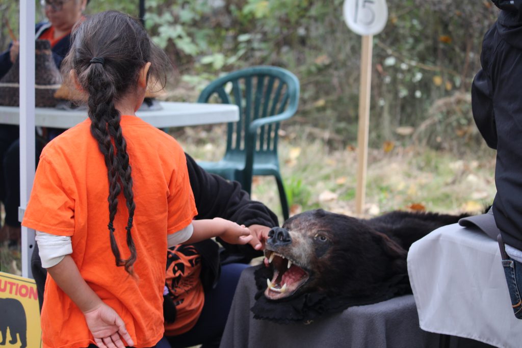 A child is seen from behind, reaching its hand towards a replica of a black bear.